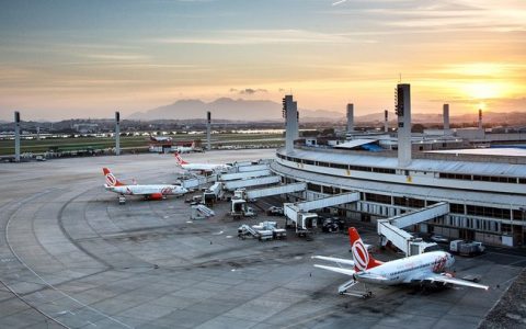 Para evitar acidentes, Rio espanta aves perto de aeroporto usando cães e falcões.