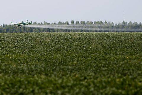 Deputado apresenta projeto para proibir pulverização com aviões agrícolas.