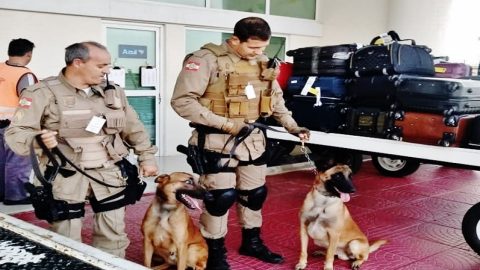 Aeroporto de Jaguaruna é o 1º de SC a implantar base de policiamento canino.