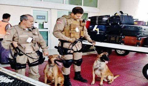 Aeroporto de Jaguaruna é o 1º de SC a implantar base de policiamento canino.